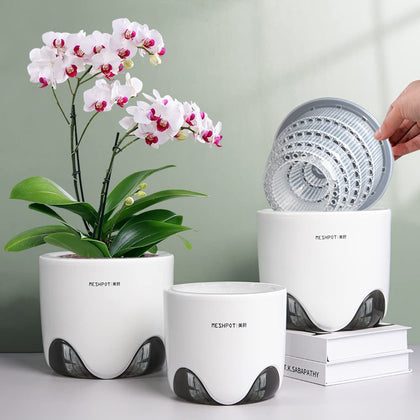 Meshpot 6-inch orchid pot with 360° airflow for healthier root growth.