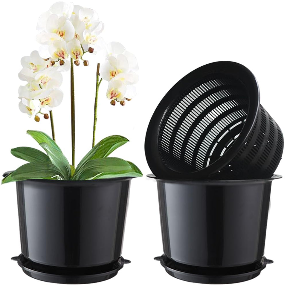 Meshpot 8-inch orchid pot with holes and saucer for improved drainage.