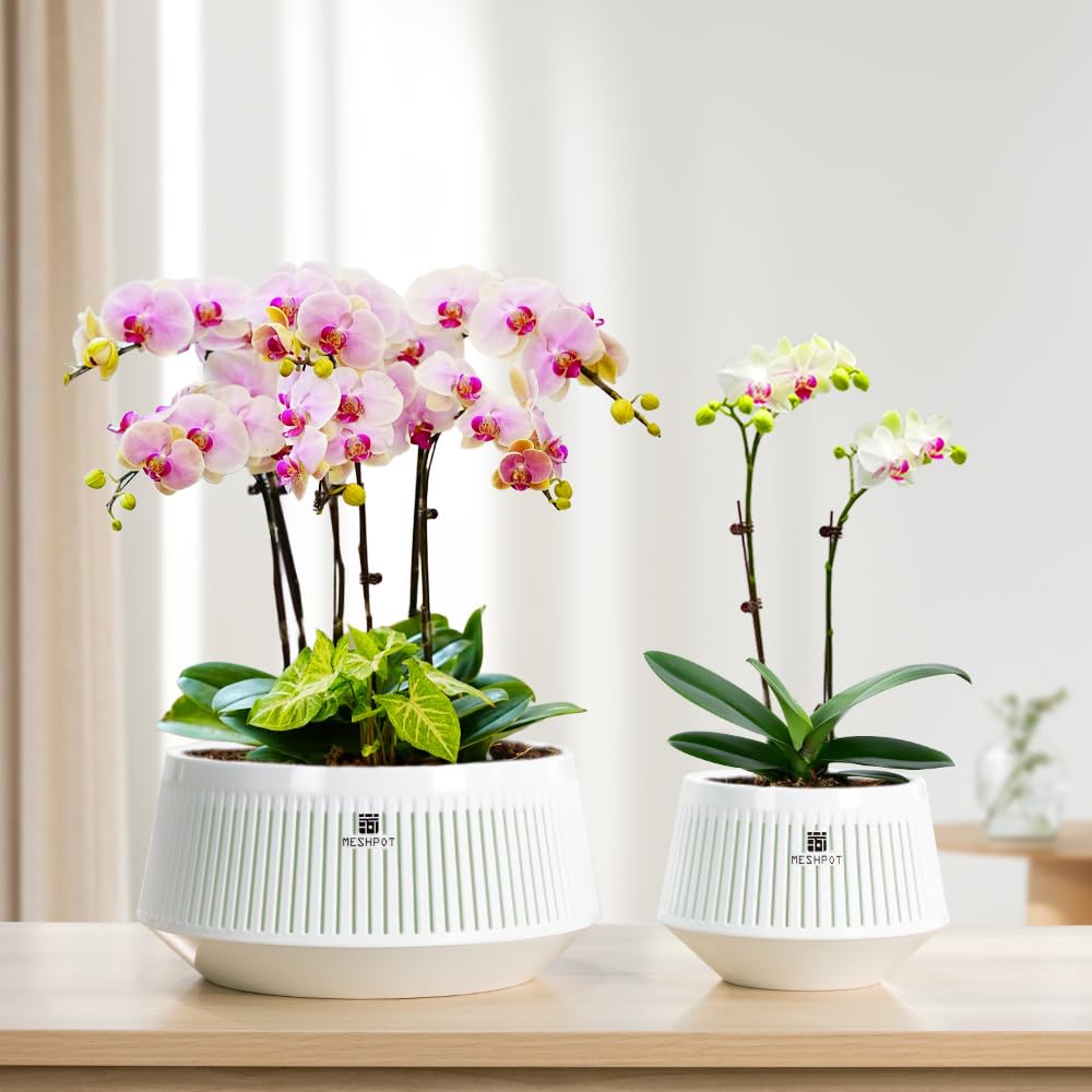 Meshpot air-pruning system promotes better root structure and aeration