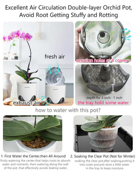 Meshpot Orchid Pot clear double-layer view emphasizes enhanced airflow for roots.