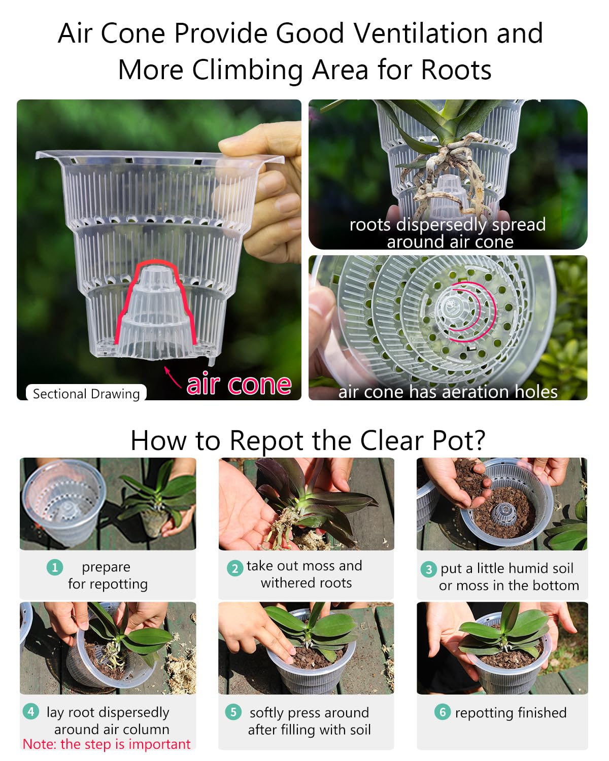 Meshpot Orchid Pot drainage holes support proper water flow and root health.