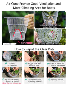 Meshpot Orchid Pot drainage holes support proper water flow and root health.