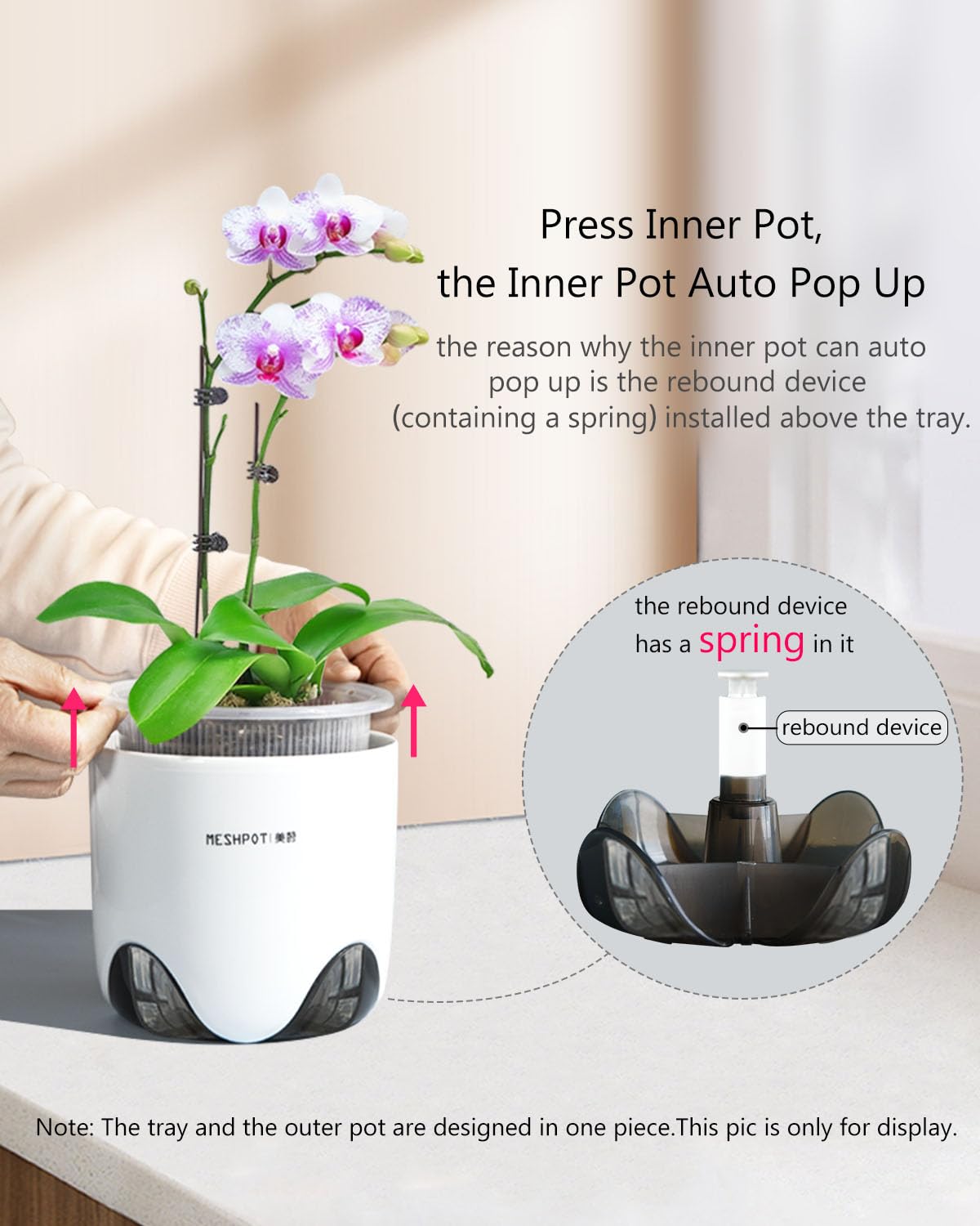 Meshpot Orchid Pot tray removal demonstrates quick inner pot access for root checks.