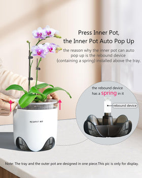 Meshpot Orchid Pot tray removal demonstrates quick inner pot access for root checks.