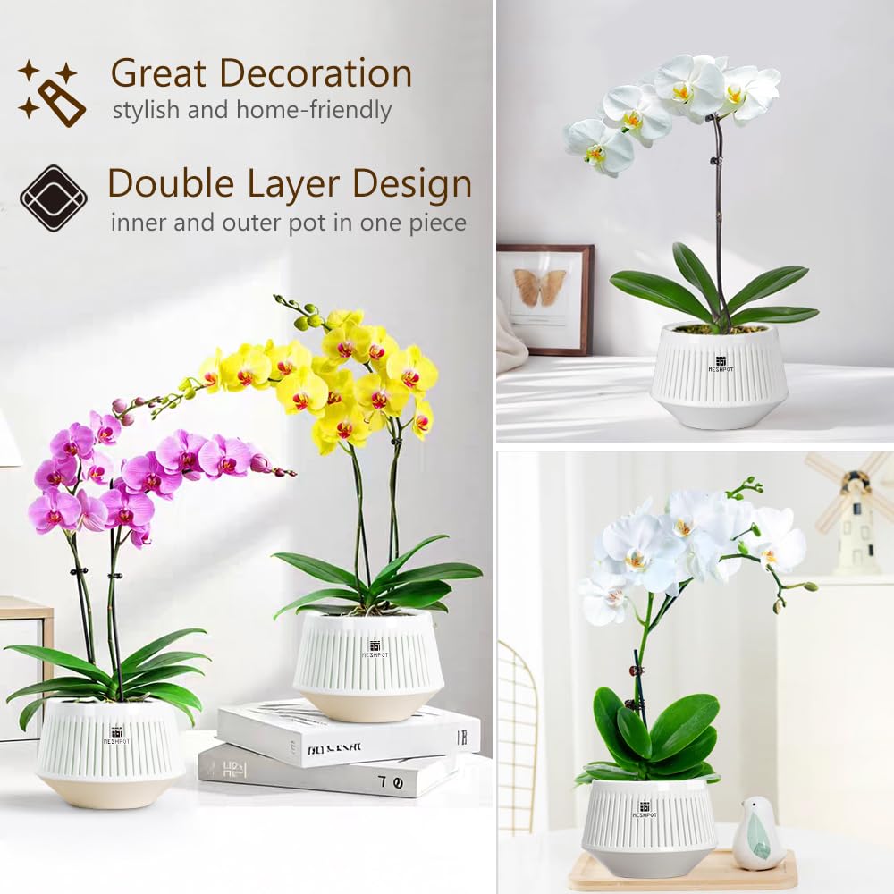 Meshpot compatible with orchids like Phalaenopsis and African violets