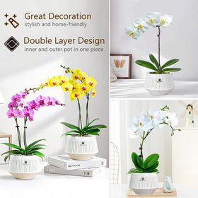 Meshpot compatible with orchids like Phalaenopsis and African violets