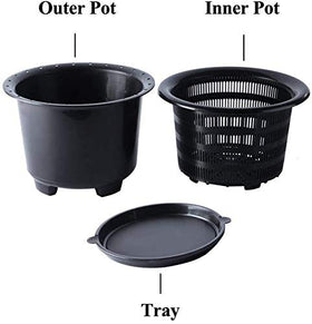 Meshpot ventilated orchid pot design boosts airflow around roots.