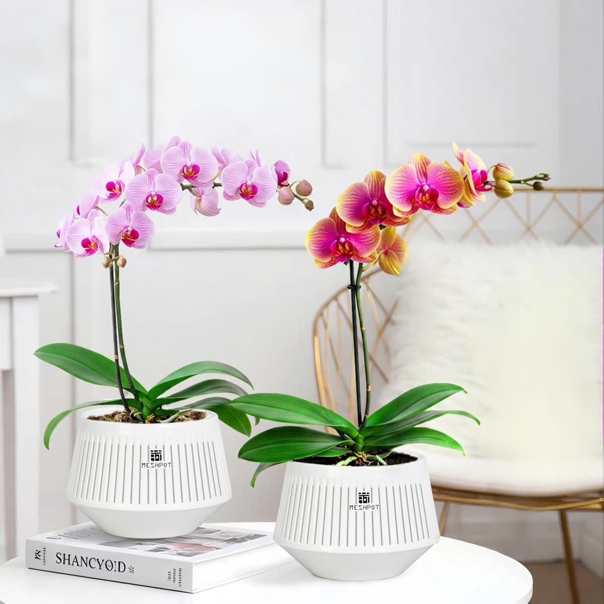 Meshpot white decorative planter with saucer shown in home setup