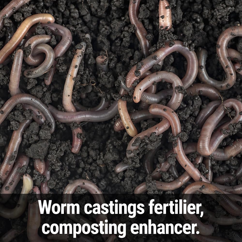 Messinas Seedlingers Worm Magic rich beneficial microbes promote soil life and root vitality.