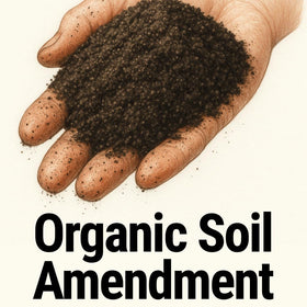 Messinas Seedlingers Worm Magic retains moisture, helping consistent watering for containers.