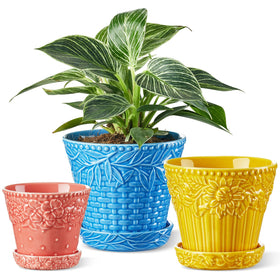 Metahom ceramic pot with embossed rim enhances decor and highlights greenery on windowsills.