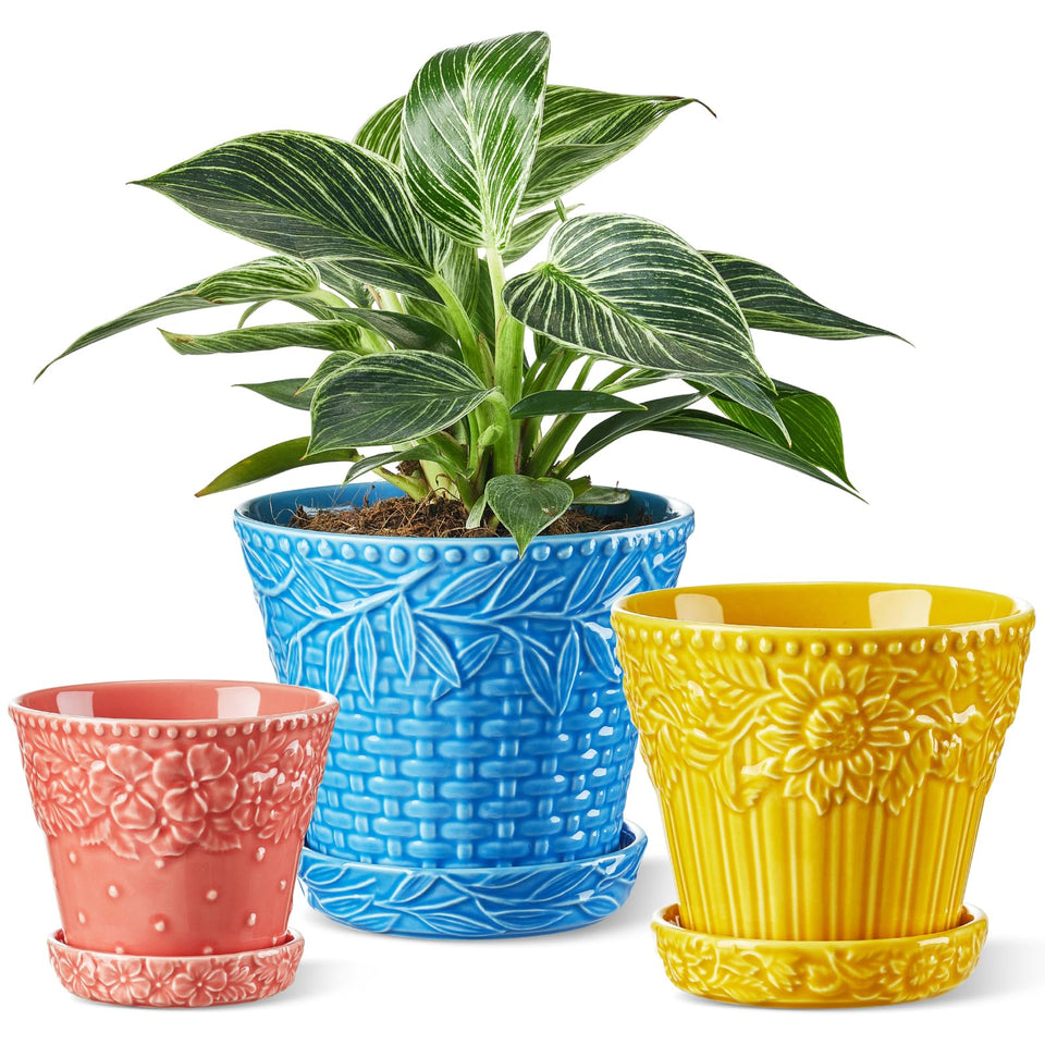 Metahom ceramic pot with embossed rim enhances decor and highlights greenery on windowsills.
