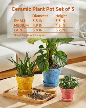 Metahom ceramic pot with geometric body texture suits modern interiors and plants.