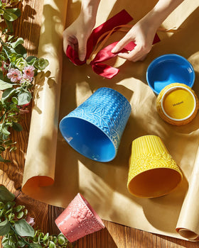 Metahom colorful embossed planters brighten any room and plant display.