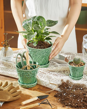 Metahom desk-display pot keeps greenery neatly organized.