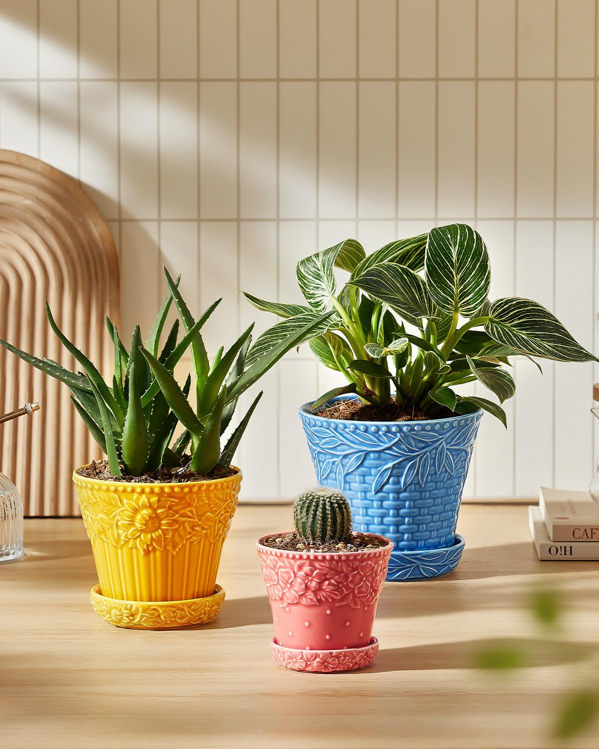 Metahom pot with mesh pad protects surfaces from excess moisture.