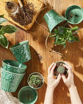 Metahom ceramic pot ideal for succulents and small plants.