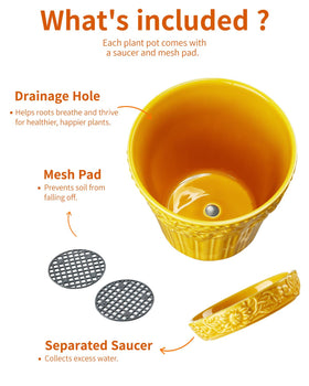 Metahom matching saucers catch drips and keep tabletops clean.