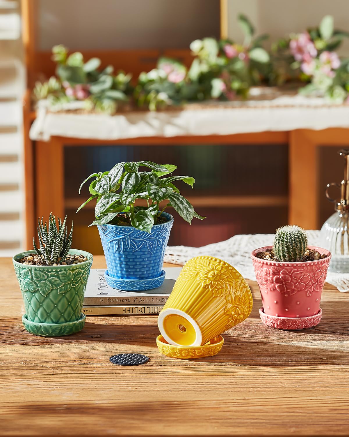 Metahom bright glaze succulent pot brings cheerful color to home