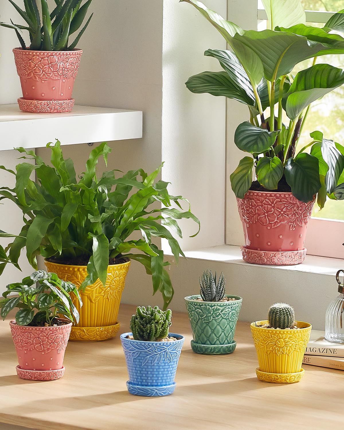 Metahom pot with drainage hole promotes healthier watering for succulents