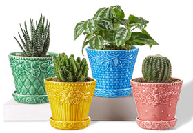 Metahom embossed rim succulent pot enhances decor on shelves