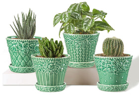 Metahom succulent pot with embossed rim enhances windowsill displays