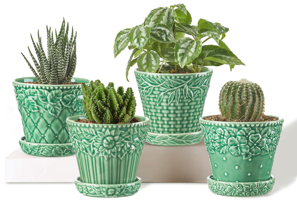 Metahom succulent pot with embossed rim enhances windowsill displays