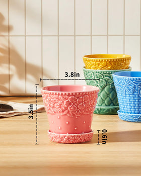 Metahom geometric body succulent pot adds modern texture to rooms