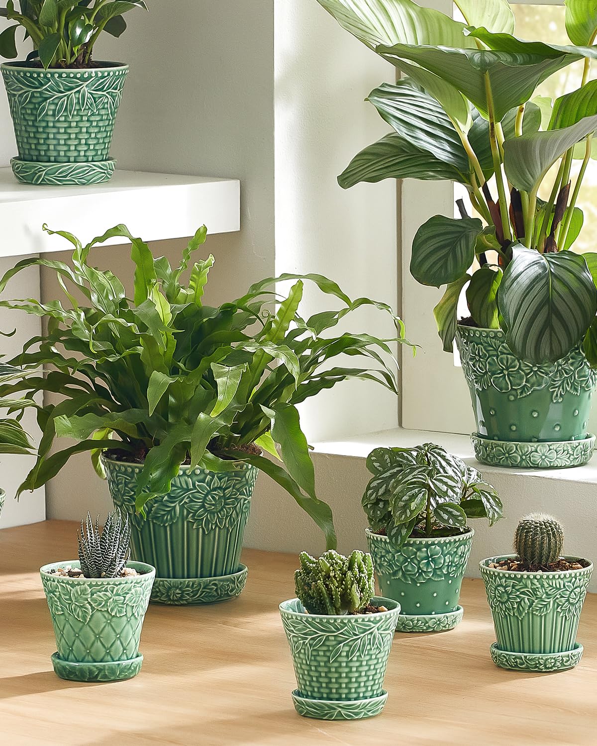 Metahom succulent pot with matching saucer catches excess water neatly