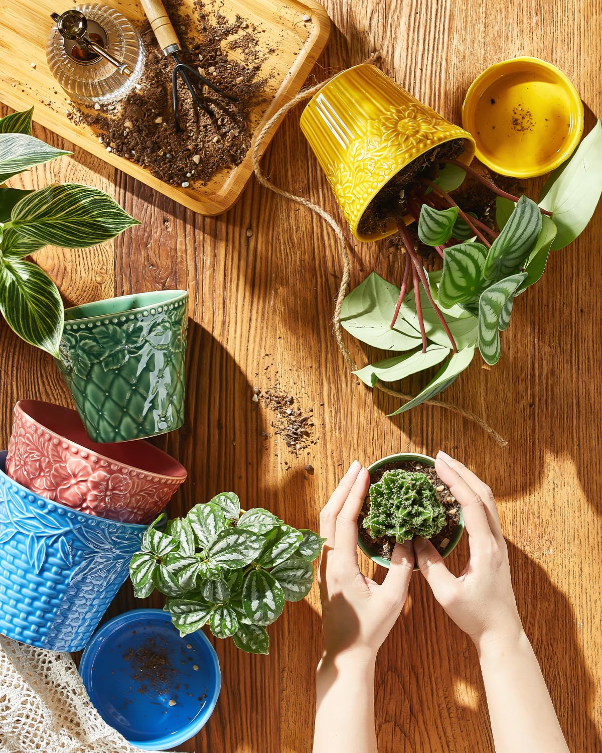 Metahom pot with saucer catches excess water for clean surfaces