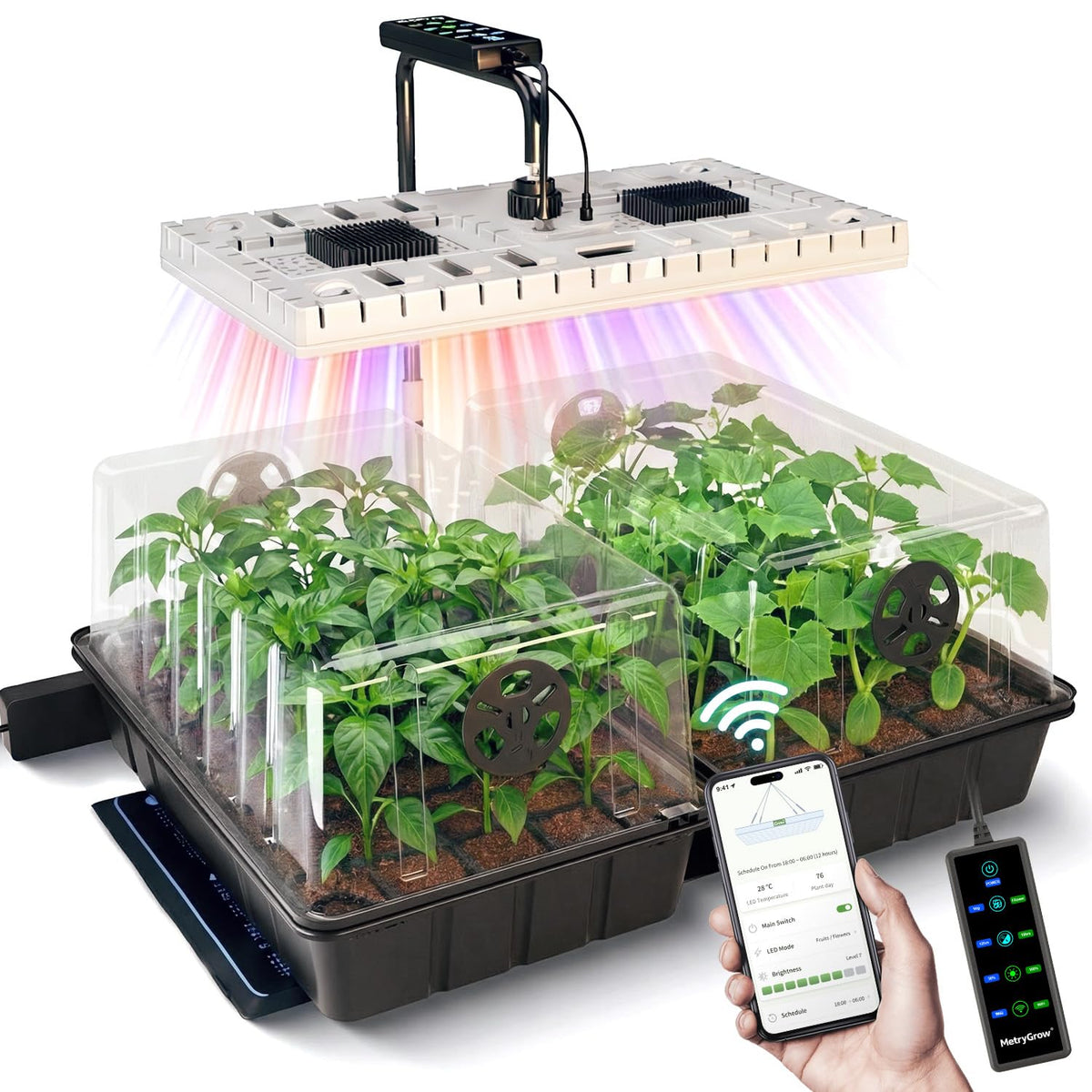 MetryGrow 48W LED grow light provides uniform coverage for healthy seedlings.