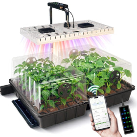 MetryGrow 48W LED grow light provides uniform coverage for healthy seedlings.