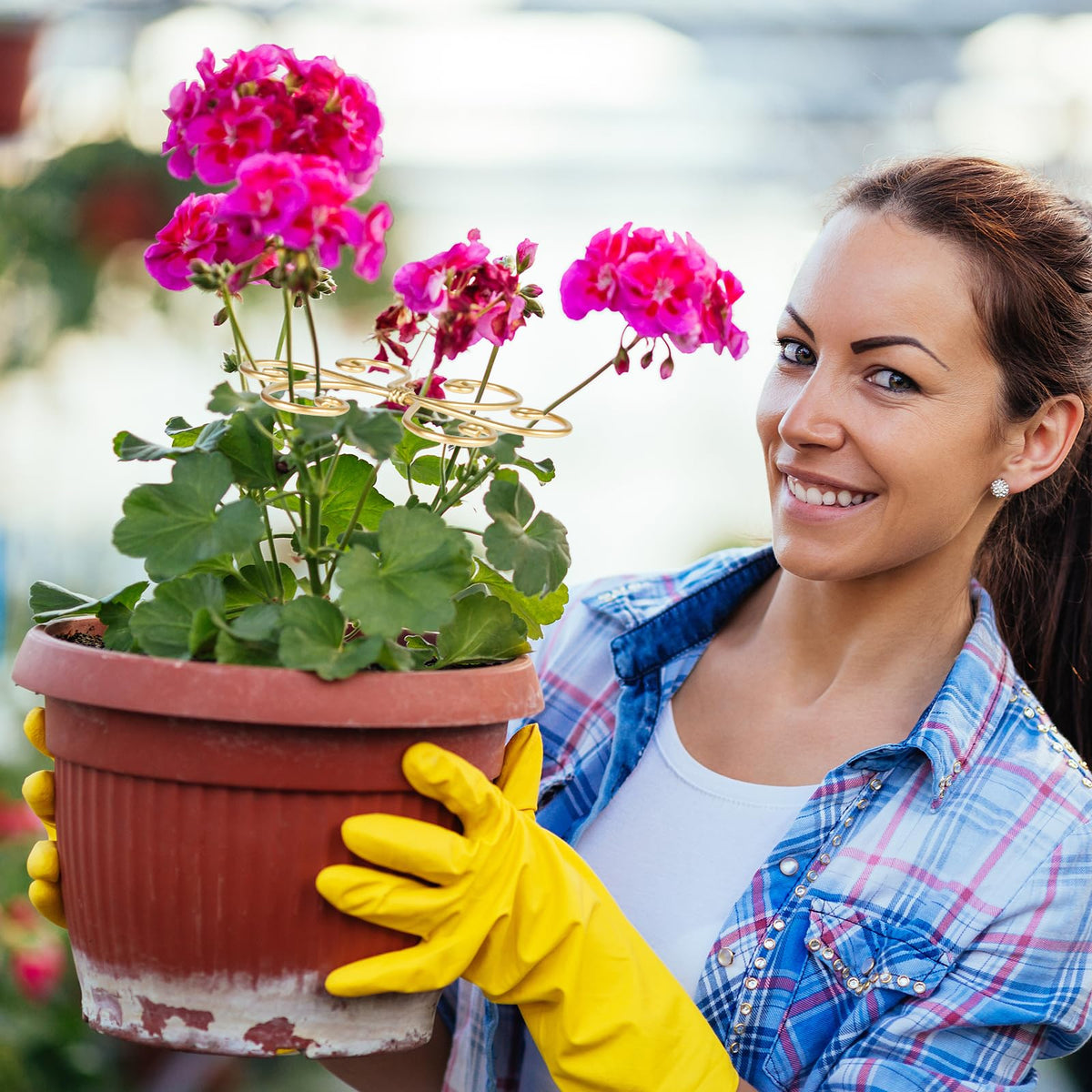 Mewcooss easy install stem support lets you adjust stems as plants grow