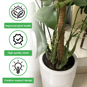 Mewcooss moss pole stabilizer reinforces climbing setups for vines