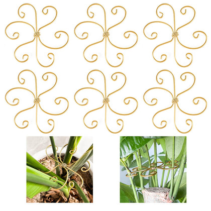 Mewcooss 6 piece stem support set stabilizes Monstera and climbing plants