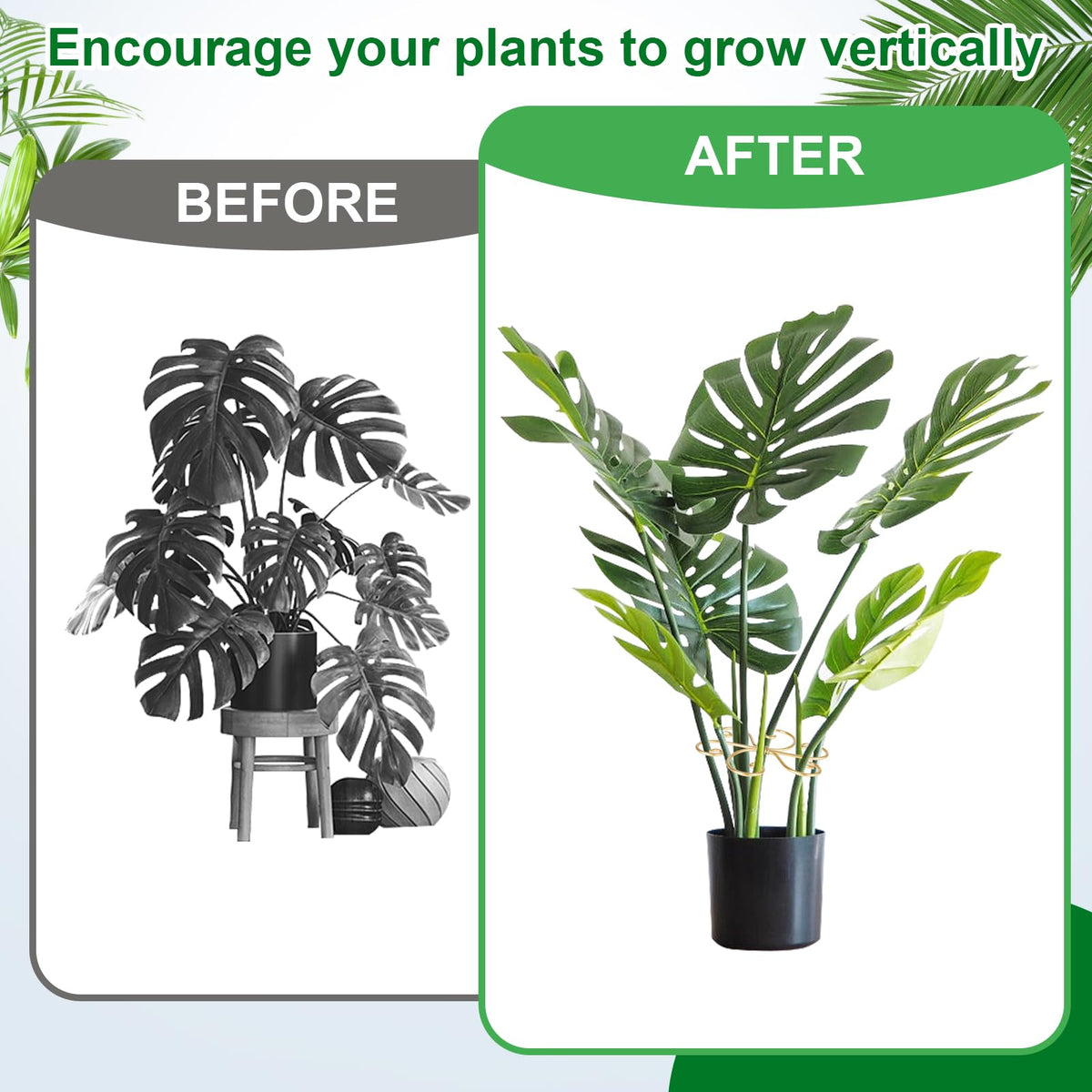 Mewcooss stem vertical growth support encourages upright growth and airflow