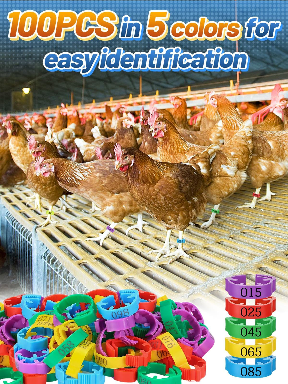 MEWTOGO red leg bands provide quick color coded identification for larger birds