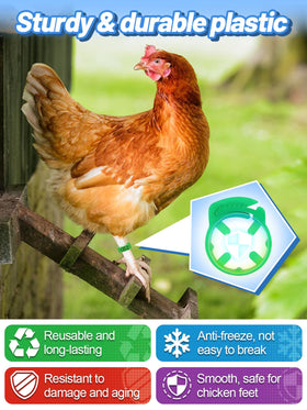 MEWTOGO numbered laser-etched bands for durable poultry identification