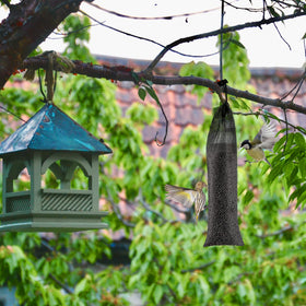 Easy to wash and reuse MEWTOGO finch sock feeder after outdoor use.