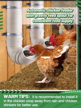 MEWTOGO no-waste feeder reducing mess in the coop