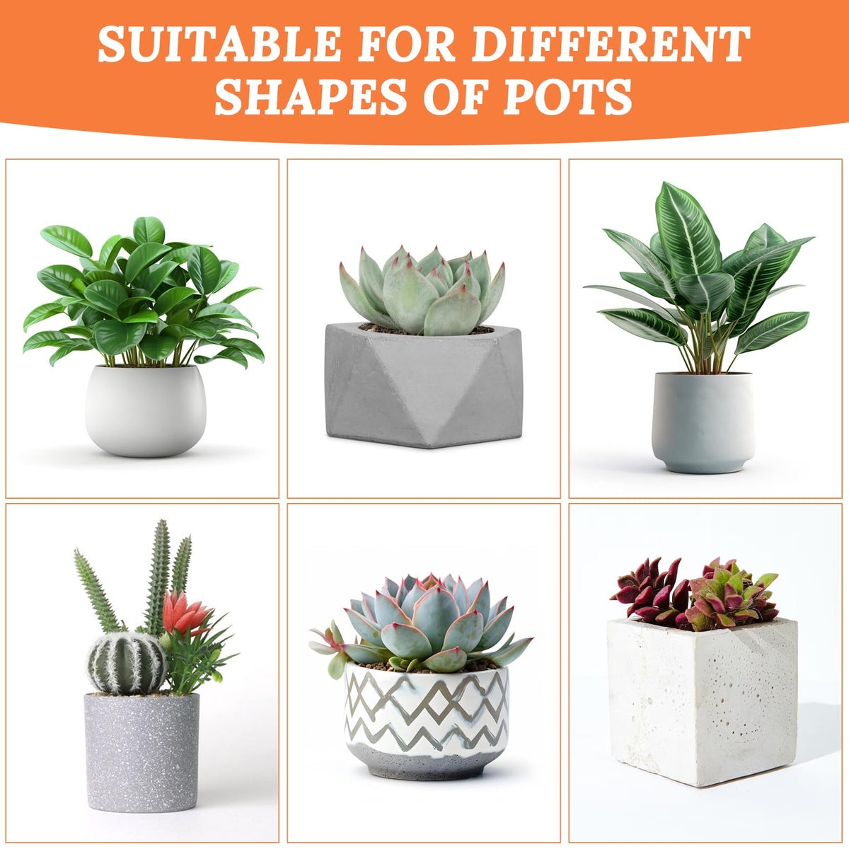 Meyeyaia reusable terrarium mesh supports healthy root moisture balance