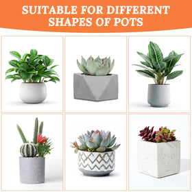 Meyeyaia reusable terrarium mesh supports healthy root moisture balance