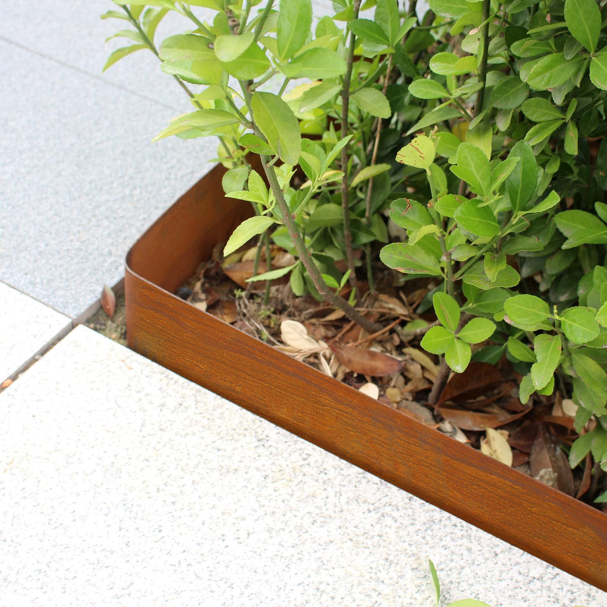 Meyoppm Corten edging along patio adds structure and rustic appeal.