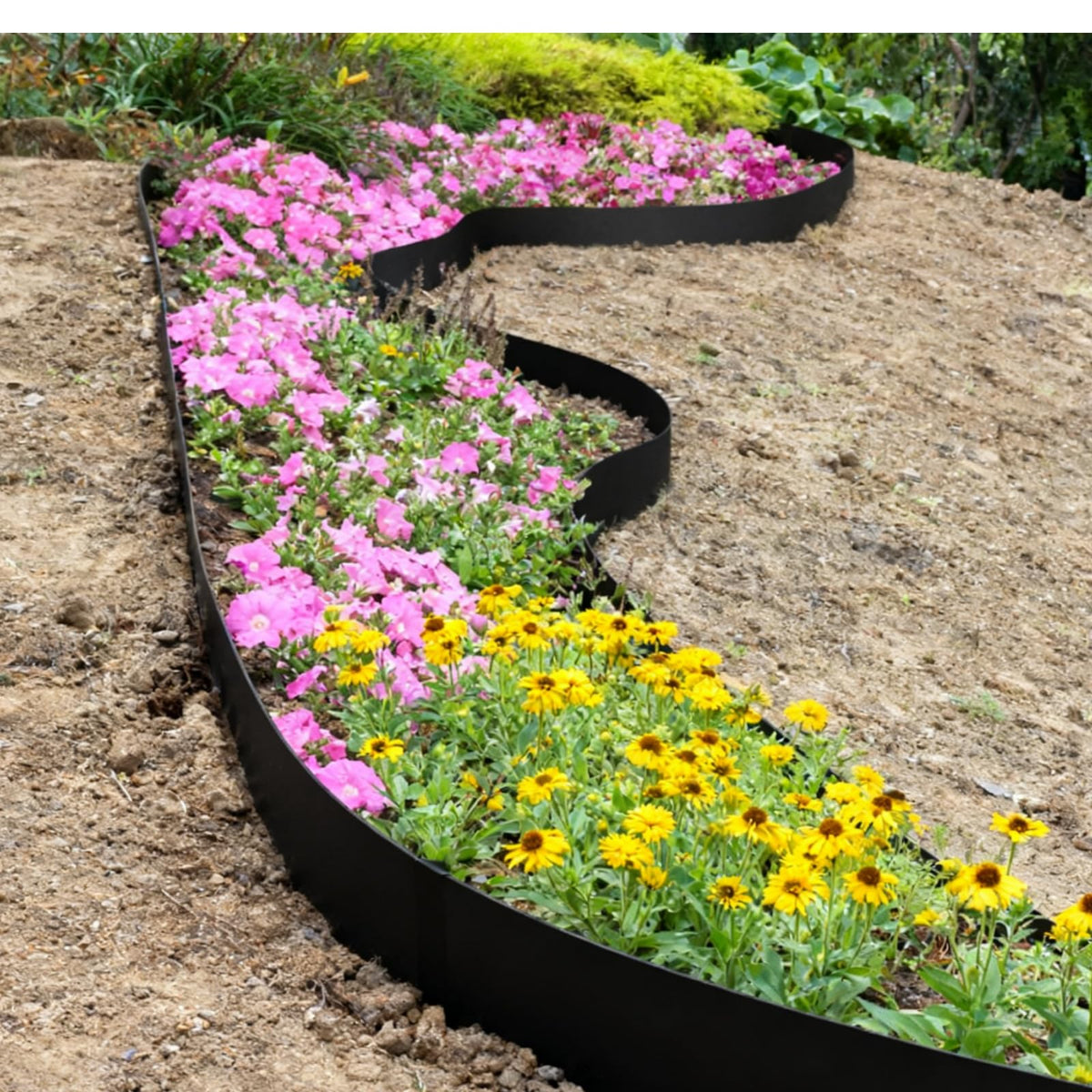 Meyoppm garden bed border installation in progress.
