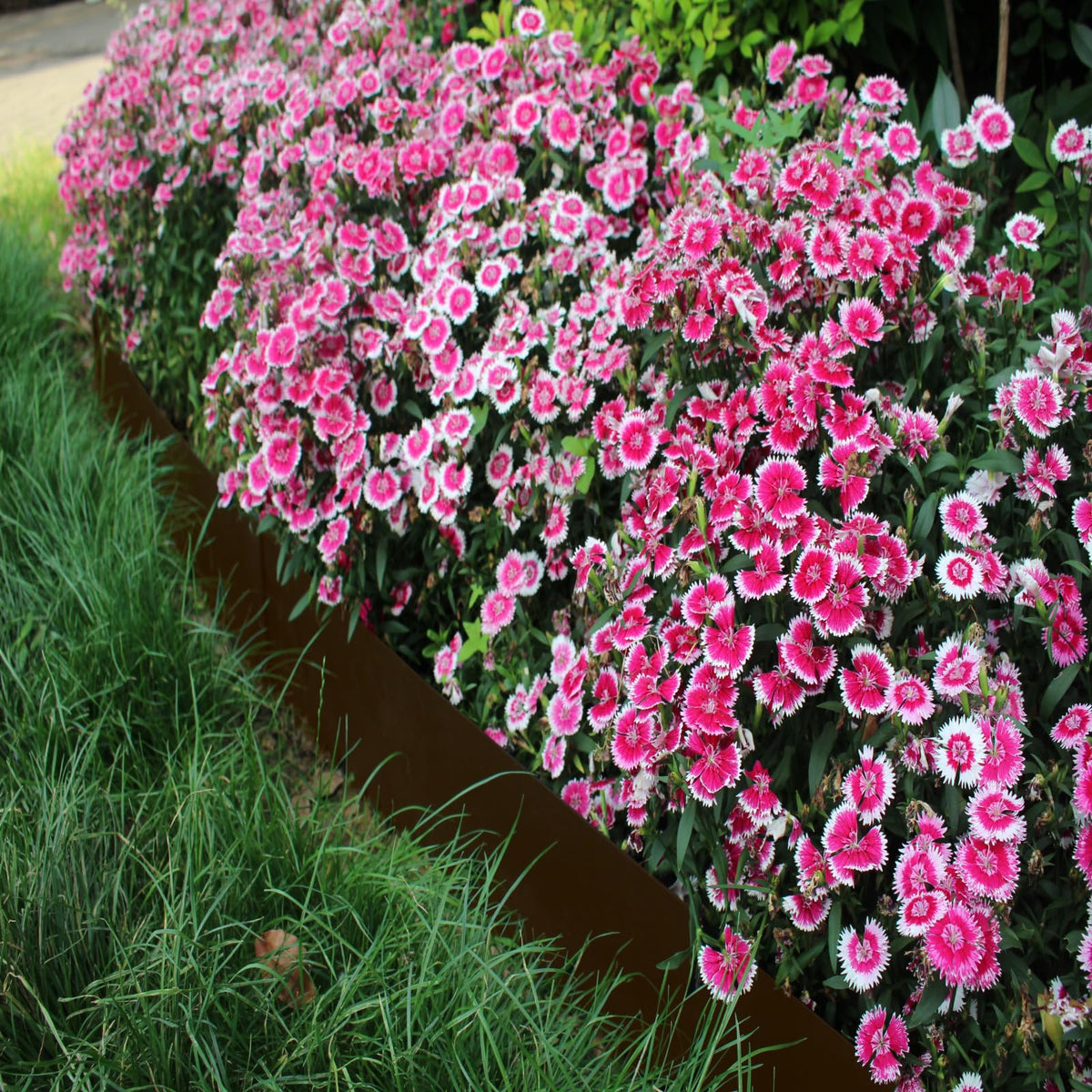 Meyoppm weed-prevention border keeps beds neat and contained