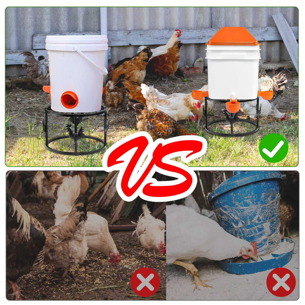 MeyRolizn elevated position helps chickens reach water or feed easily
