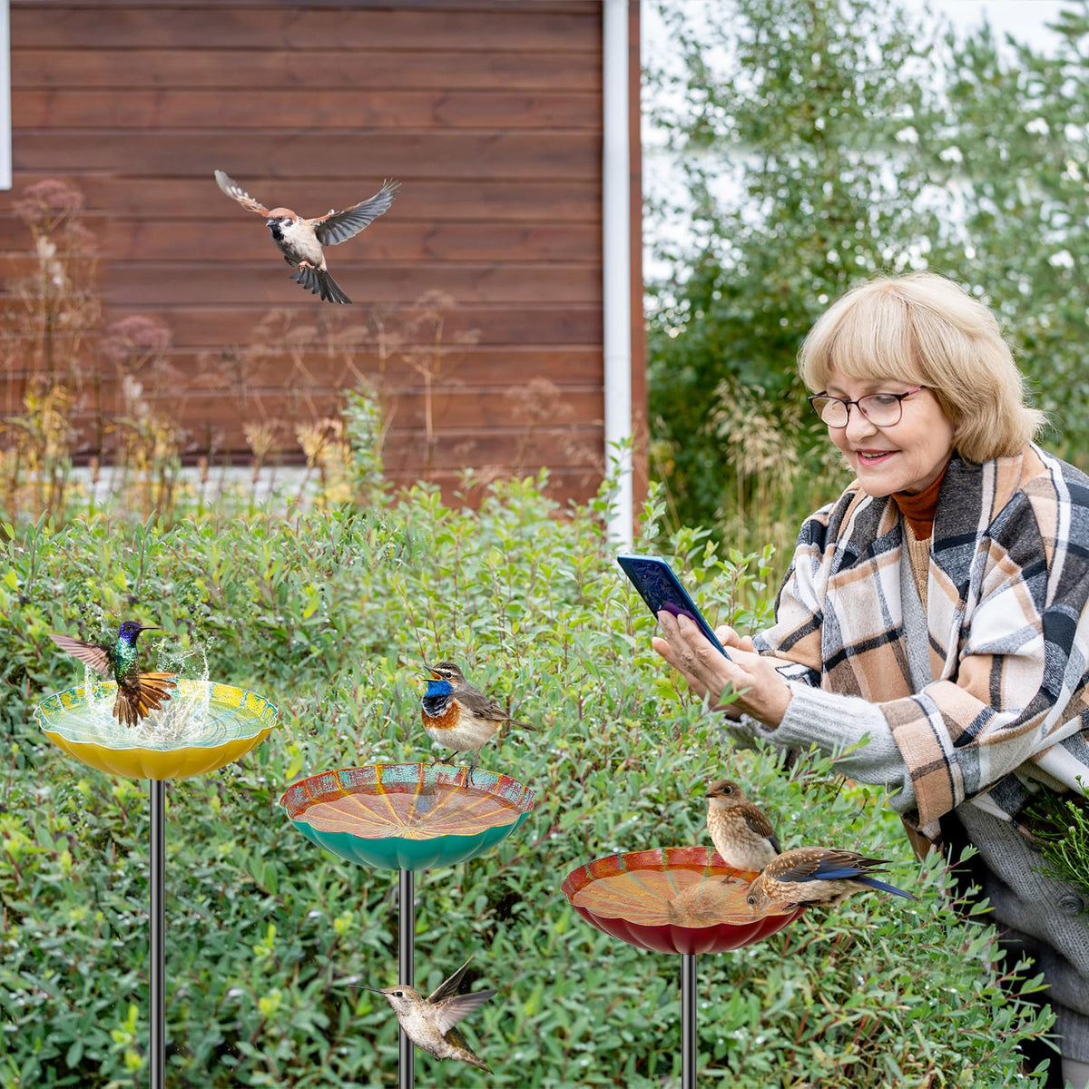 MeyRolizn hummingbird bath structure provides stable garden display