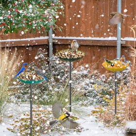 MeyRolizn vibrant garden decor with vintage finish stands out