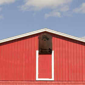 Mezchi bat house outdoors garden placement supports bat habitat.
