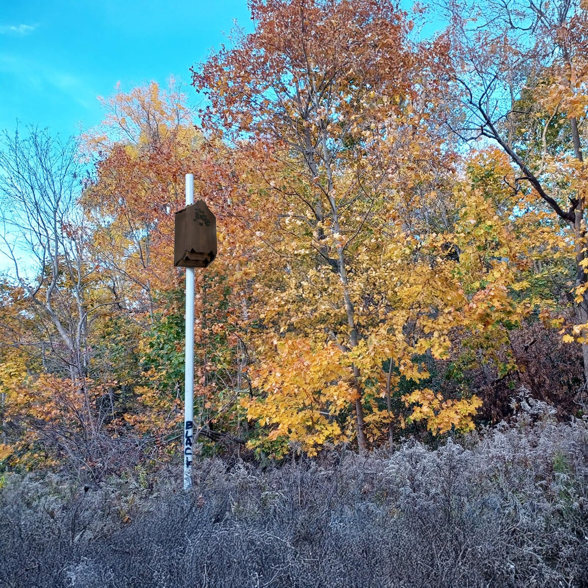 Mezchi bat house outdoors weatherproof design resists rain and snow.